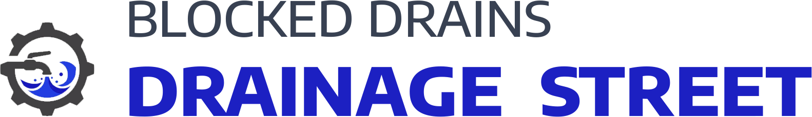website logo